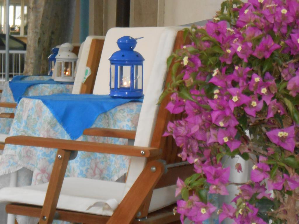 Hotel Villa Dei Platani Bellaria-Igea Marina Bagian luar foto